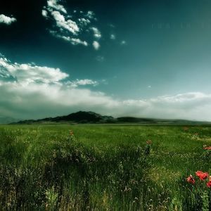 Meet your Posher, Rumana